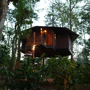 Resort Pugmarks Jungle, Chegat