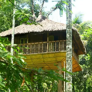 Villa Kalidasa Tree House And Villa, Wayanad, Chegat
